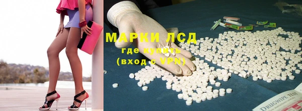 амф Алзамай