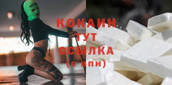 твердый Алексин