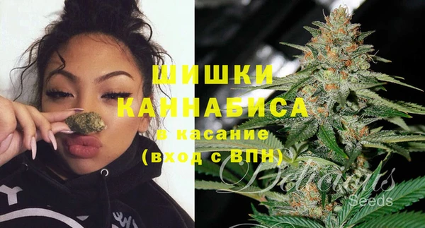 амф Алзамай