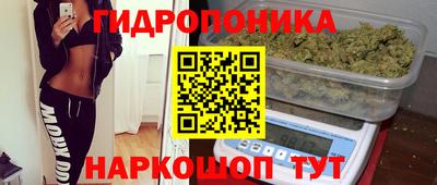 PSILOCYBIN Лесосибирск