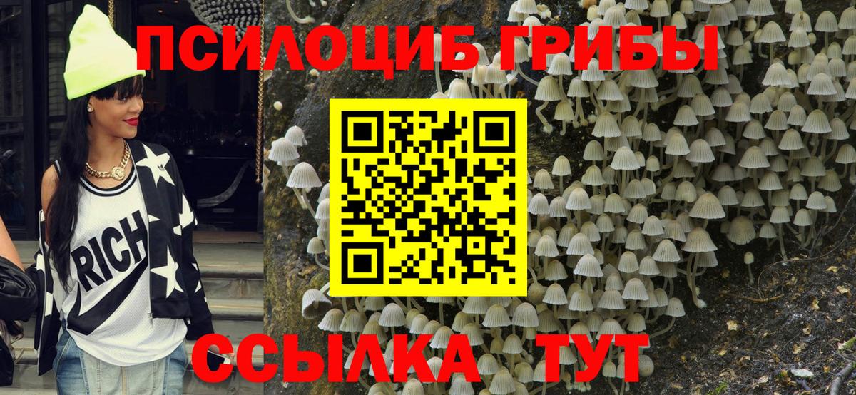 Галлюциногенные грибы прущие грибы  Псилоцибиновые грибы мицелий  Вход с VPN  Камышин 